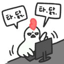 고릴라캠핑인속리산 이미지