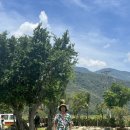 송호목장 이미지