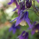 수리봉마을 이미지