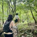 20260719 남양주 호평리임도, 팔현계곡길,오남저수지[바위님 리딩] 이미지
