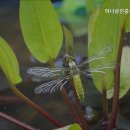 하나센트럴자이(단지내)공인중개사사무소 이미지