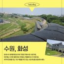 수원 화성_화홍문-방화수류정-용연-북암문-동북각루 코스 (feat. 선재업고 튀어 촬영지)
