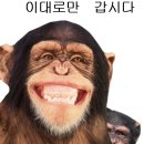 마블 코믹스 한국인팀 '타이거 디비전' 근황 이미지