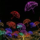 으뜸 행정사사무소 이미지