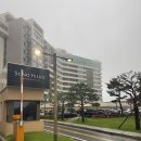 고성군 그라운드 골프장 화장실 | 고성 소노펠리체 델피노 로얄 스위트 스탠다드 후기 + 오션플레이