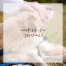 예감치과의원 이미지