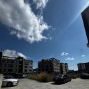 진동시내버스환승센터 | 마산 삼계탕 맛집 추천 마산 진동 맛집 추천 광암해수욕장 근처 맛집 서촌 삼계탕