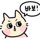 월드여인숙 이미지