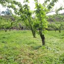 수관농장 이미지