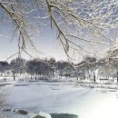 비로소, 겨울 하늘 이미지