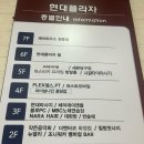 네일헤이데이 | [일산/화정] 헤이데이브로우 블랙틴트 속눈썹펌 솔직 후기