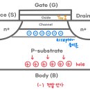 BODY EFFECT 이미지