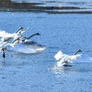 경안천 4 이미지