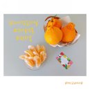 ㈜ 이마트 서귀포점 | 스마트한 과일선물 내지갑속과일