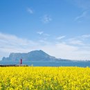 힐링타임 이미지