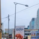 바닷가에서 | 속초 맛집 꽃감자 포장후기 :) 바닷가에서 먹으니 더 맛있었던 속초 꽃감자