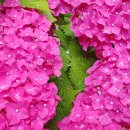 무학세탁소 이미지