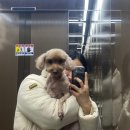 몽심살롱 이미지