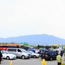 청보리축제장 이미지