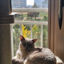 세븐일레븐 영종씨에로 이미지