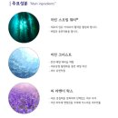 베스트아이케어