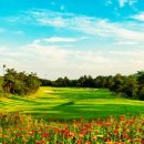 대호정비 이미지