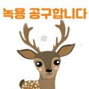 [비전유학 공동구매] 녹용 공구합니다.(마감 5월8일 어버이날까지) 이미지