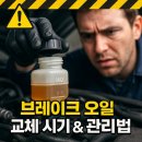 현대자동차부분정비업 | 브레이크 오일 교체 시기 | 주행거리·점성도·색상 체크·안전 관리법 가이드
