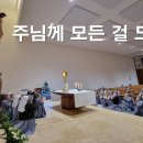 마르띠노 이미지