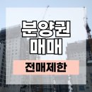 티플랜 과천서초지구점 | 분양권 매매 절차와 전매제한 규정｜양도세 계약리스크 한눈에 정리