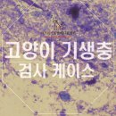 탄방메디칼 이미지