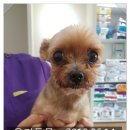 예송동물병원 이미지