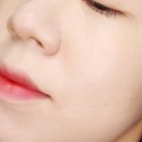 웜톤틴트 블랑디바 비블러리틴트 가을느낌 촉촉벨벳
