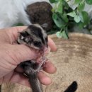 와우펫앤쥬(기장점) 이미지