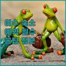여수 숙소 예약 전 필독! 숙소 규정, 요금, 후기 완벽 정리