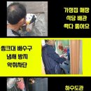 부산한약품 이미지