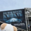 영MD | 데이식스 포에버영 피날레콘 MD 구매 후기 ʕ•̫͡•ʕ•̫͡•ʔ•̫͡•ʔ•̫͡•ʕ•̫͡•ʔ•̫͡•ʕ•̫͡•ʕ•̫͡•ʔ•̫͡•ʔ•̫͡•ʕ•̫͡•ʔ...