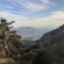 와룡헬스 이미지