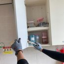 (주)페스원