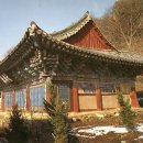 청룡사