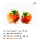 주리농장 이미지