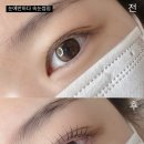 눈에반하다 - 원주시 | 눈에반하다