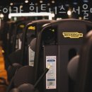 자마이카휘트니스 이미지