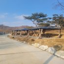 금산 자연 오토캠핑장 이미지