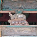 토끼와 자라 이미지