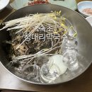 속초여행 토면이란 무엇인가?청대리막국수