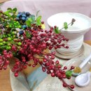 생활도예(초급) 이미지