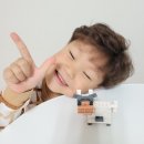 어린이장난감 레고 추천 &lt;대디스톤 공룡 동물 블럭&gt; 티라노 만들기 후기