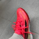 F50 | [풋살화 추천]아디다스 F50 하이퍼패스트 프로 TF 질렀습니다