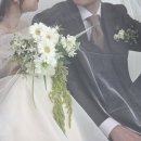 플라워바인 - 남구 유엔로 1 | 플라워바인